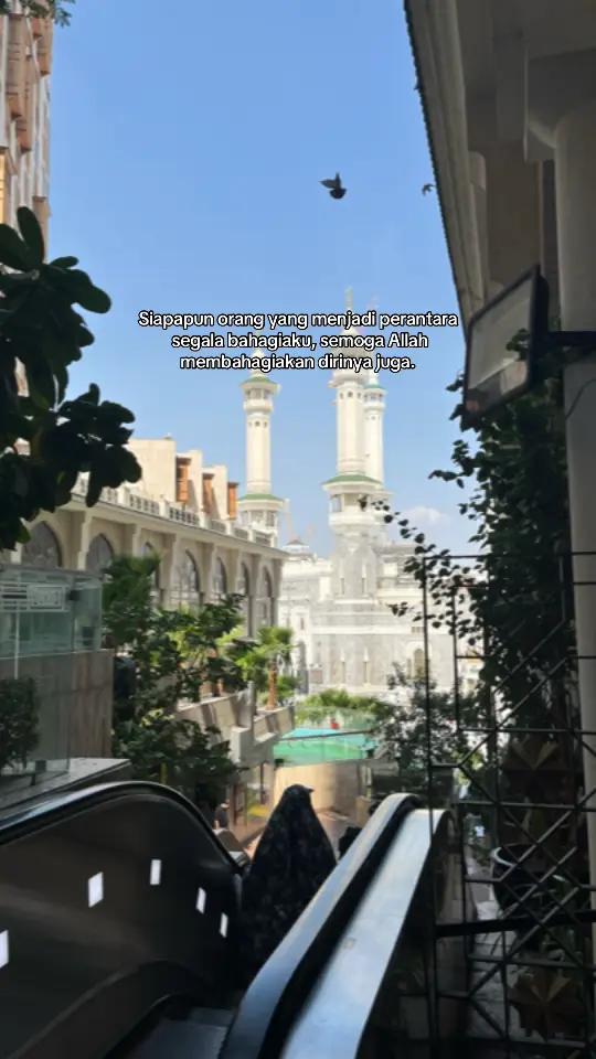 #quotes #reminderislamic #islamicquotes #fypシ゚ #4u 