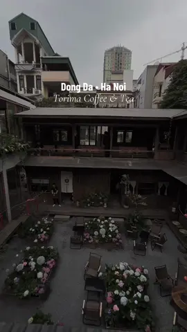 Khu vườn xinh đẹp giữa lòng HN 🌿 không gian quán rộng và thoáng, có khoảng sân hiên nhà tựa Đà Lạt, đồ uống từ 50🐬, có khu rành riêng cho học tập làm việc. Okila lắm thử nha 🥰 #hanoi #coffee #diadiemsongao #torimacoffee 