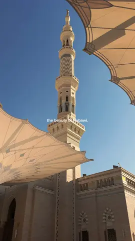 Words fall short in capturing the depth of my love for the city of the Prophet (SAW), a love that fills my heart with endless warmth and reverence.🤍 #haramain #madina #nabawi 