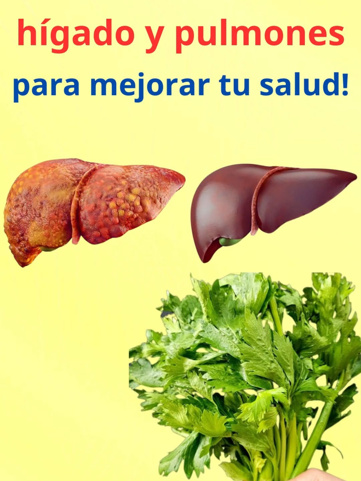 ¡Limpia riñones, hígado y pulmones para mejorar tu salud! #salud #Receta #limpiezadetox #cuidatusorganos #vidasanayfuerte #remedioscaseros #saludnatural