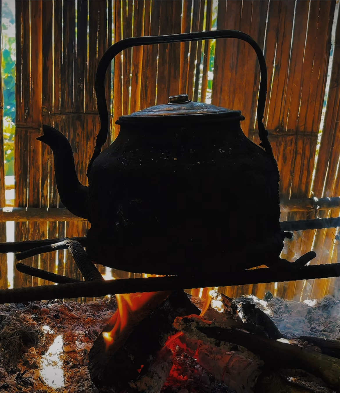 Mùa xuân ơi có thể chậm chân một chút được không. Nhà chưa Mai nở, cành Đào ở đâu, nàng Dâu chưa thấy, nụ Tầm càng không.#binhyen #xuan2025 #tamtrang #buon 