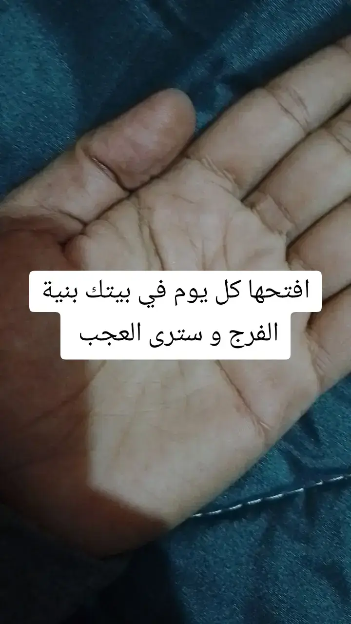 #القران_الكريم_راحه_نفسية😍🕋 #fyp #قران_كريم #القران_الكريم 