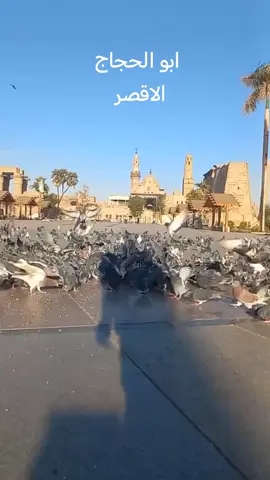 #ابو_الحجاج  #الاقصر_بلد_السحر_والجمال 