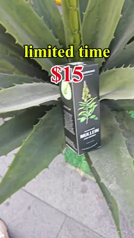#lunghealth #lunghealthmatters #mullein #naturalremedies #tiktokshop #tiktkshopfinds #fyp 