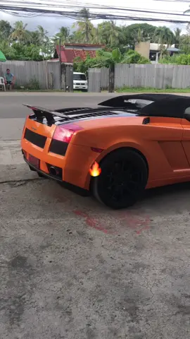 Gallardo in iloilo . . . . . #iloilocar #cartstok #carsoftiktok #viral #lamborghini #lamborghinigallardo #fyp #gallardospyder #gallardo 