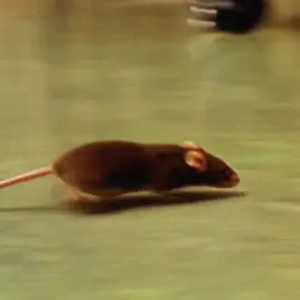 Filme: A espera de um milagre🙏🏽… . . . . . #c#cenasf#filmed#dramat#tristea#aesperadeummilagrej#johncoffeyt#trechosdefilmescenasdefilme #filmes #cortes #aesperadeummilagre 