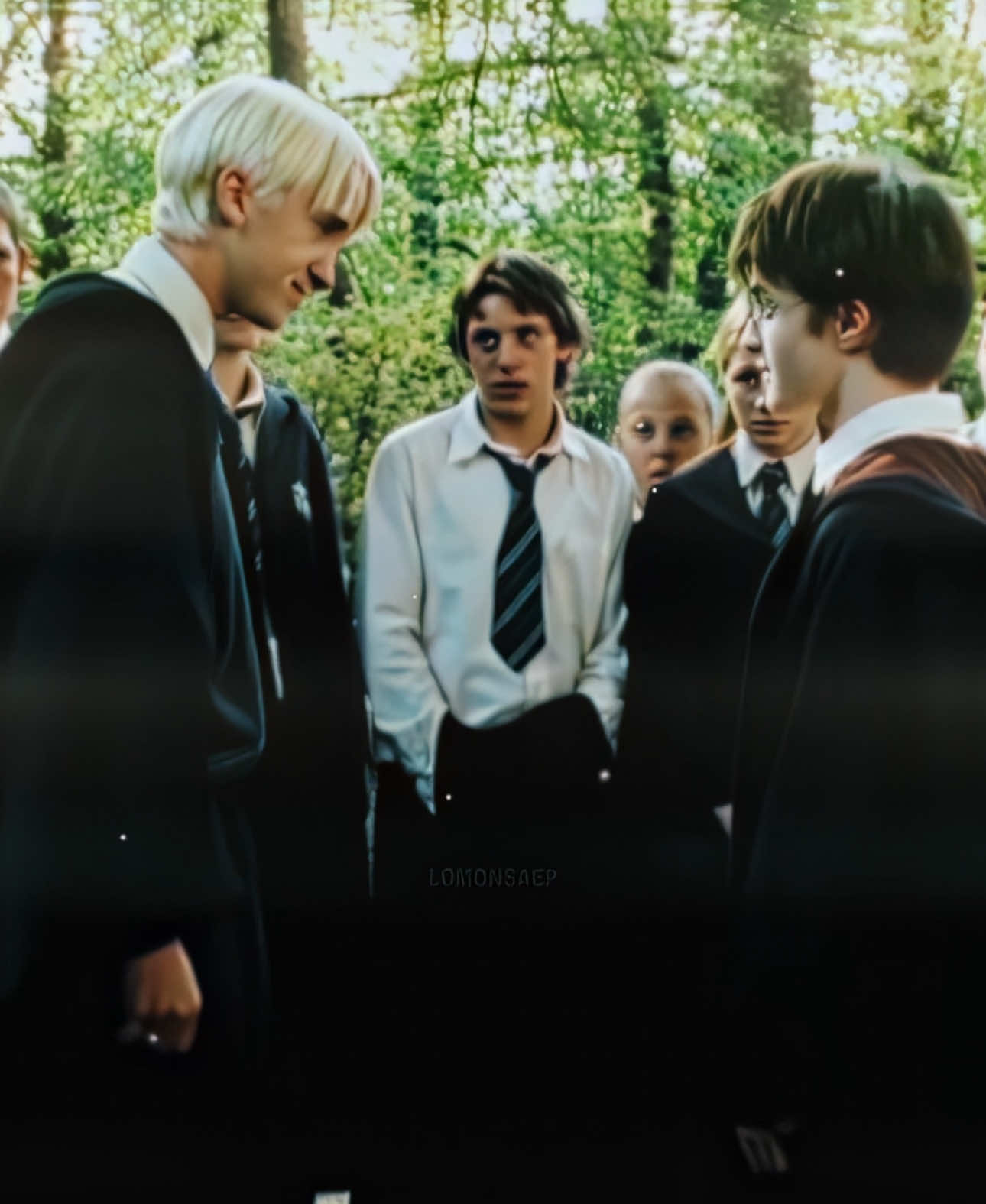 #DRARRY | going back to my roots before tt gets banned #harrypotter#dracomalfoy#drarryedit#harryanddraco#dracotok#harrypottetedit#fyp#noncanon#gay#bl