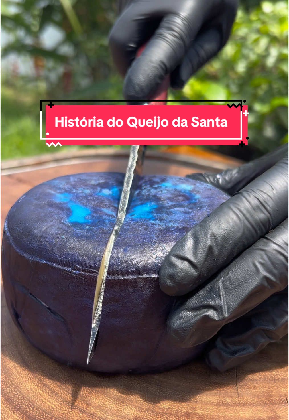 🌟 Um queijo, uma história, uma homenagem! 🌟 O Queijo da Santa nasceu de um gesto de amor e fé. Criado por Felipe para homenagear sua avó, uma devota de Nossa Senhora Aparecida que não gostava de queijos mofados, ele traz na casca azul a simbologia da devoção e um sabor único para surpreender você. 💙 ✨ Prove essa história! Peça o seu agora e leve para casa um queijo que une tradição e sabor. 🧀 #QueijoDaSanta #Tradição #HistóriaComSabor #AmorDeFamília #QueijosEspeciais 