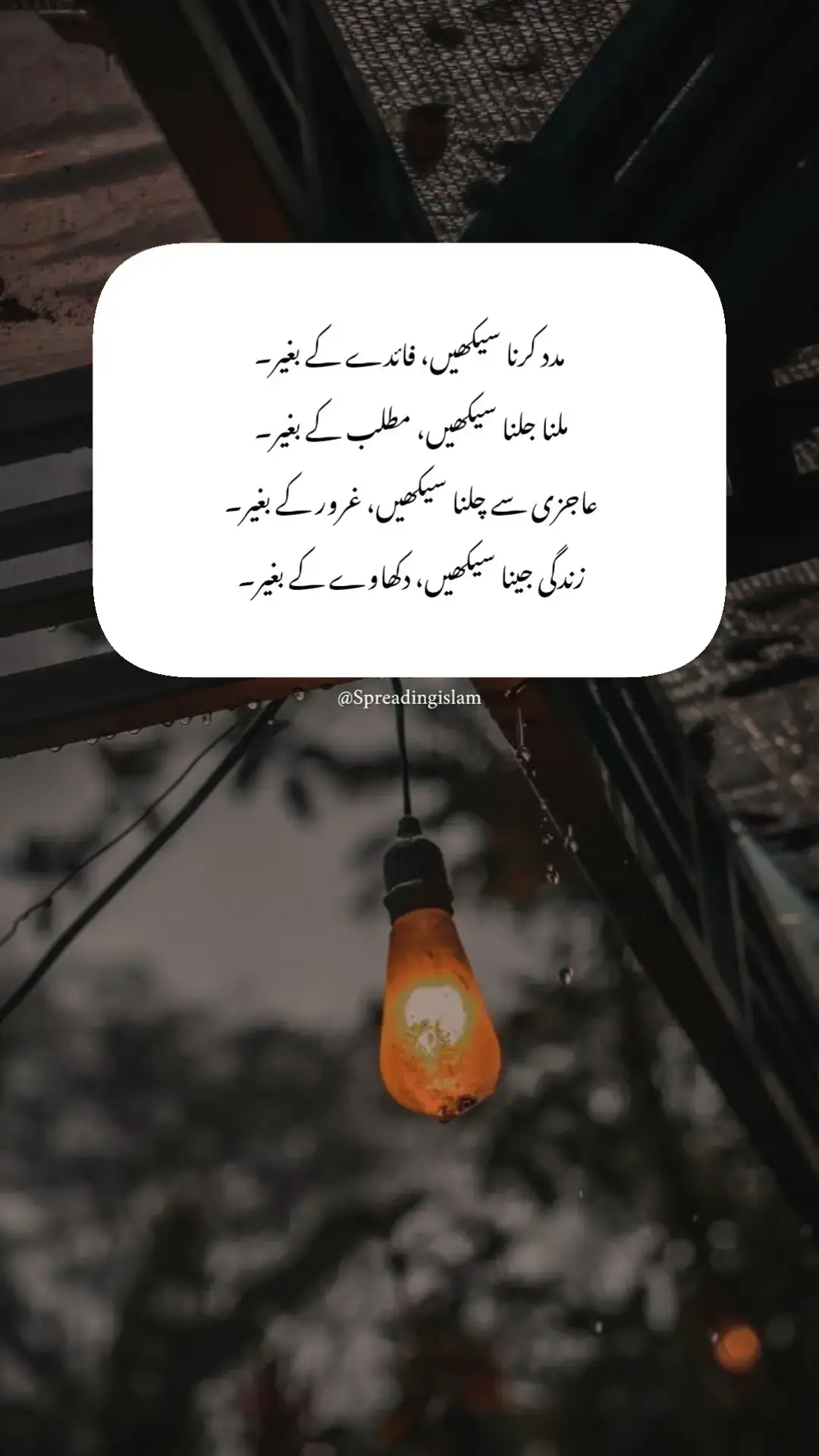 #Allah #emaan #sabar #pain #hope #aesthetic #alone #trending #tiktok #foryou #foryoupage #fyp #viralvideo #goviral #itssundas15 #malaikaesthetic  #apnaforyoupage #آخری_الفاظ #urduliness #aakhri_alfaaz #youthclubpk #islamicreminders #islamicfacts #islamicfairy🦋 #islamicquotes #youth #savetheyouth #nobarzakh #nofahashi #spreadingislam15 #spreadingislam 