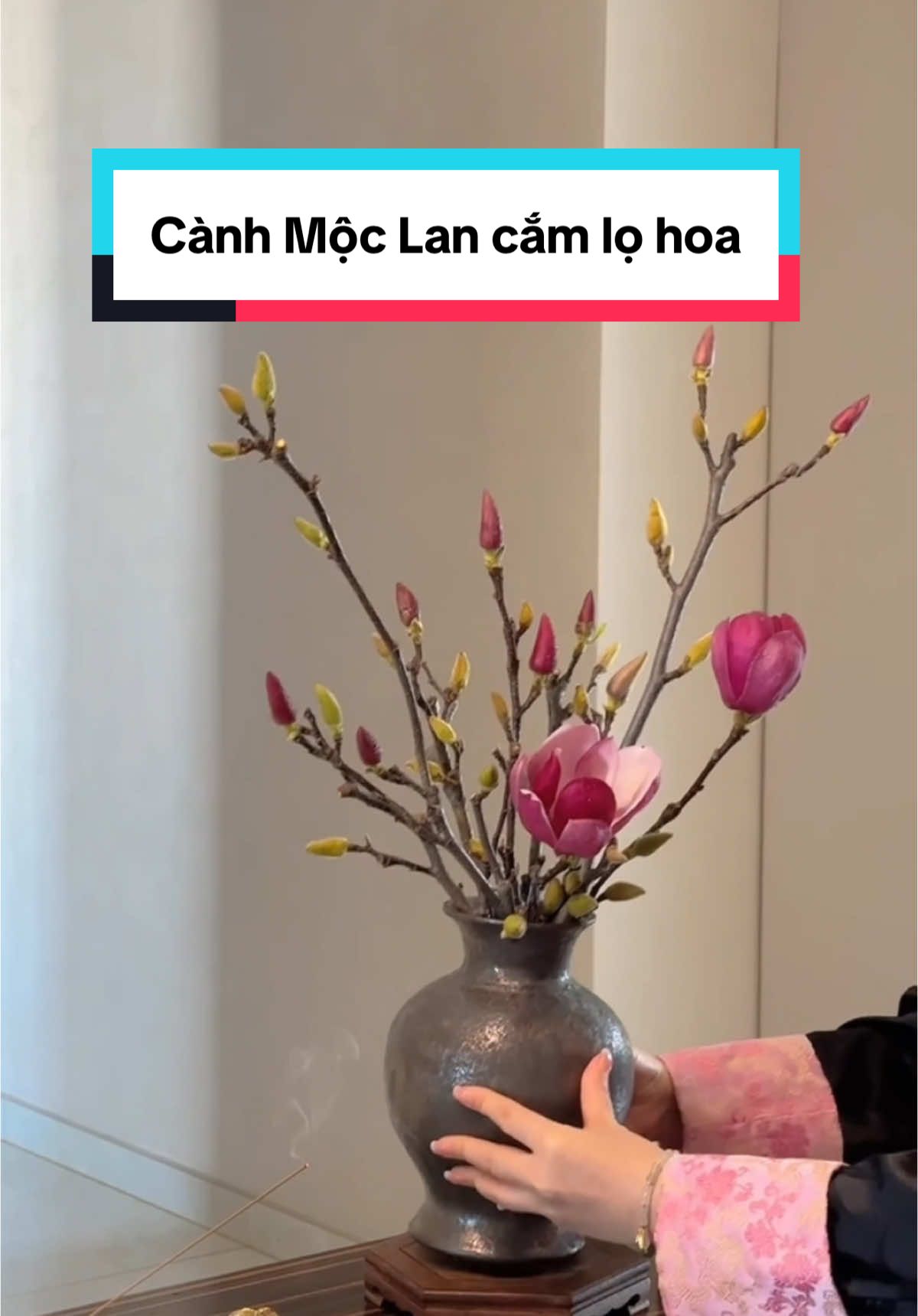 Cành Hoa Mộc Lan cắm lọ hoa nhìn rất sang trọng, quý phái #hoamoclan #canhhoamoclan #moclan #hoa #tet #hoatet #xuhuong #trangtritet 