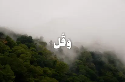 #quran #fyp #viral #قران #قران_كريم #fypシ #عبدالباسط