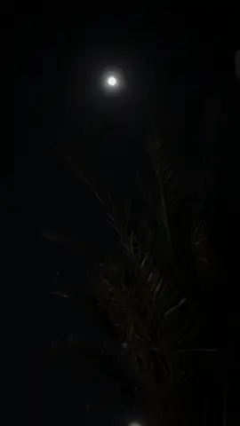 حي الرفيق اللي رفقته ترفع الراس  ‏من عادته دايم على الطيب سباق 