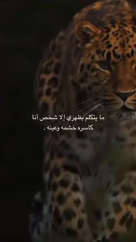 م يهمني كلامك من وراي يكفيني انك اذا شفتني تنطم 😎.