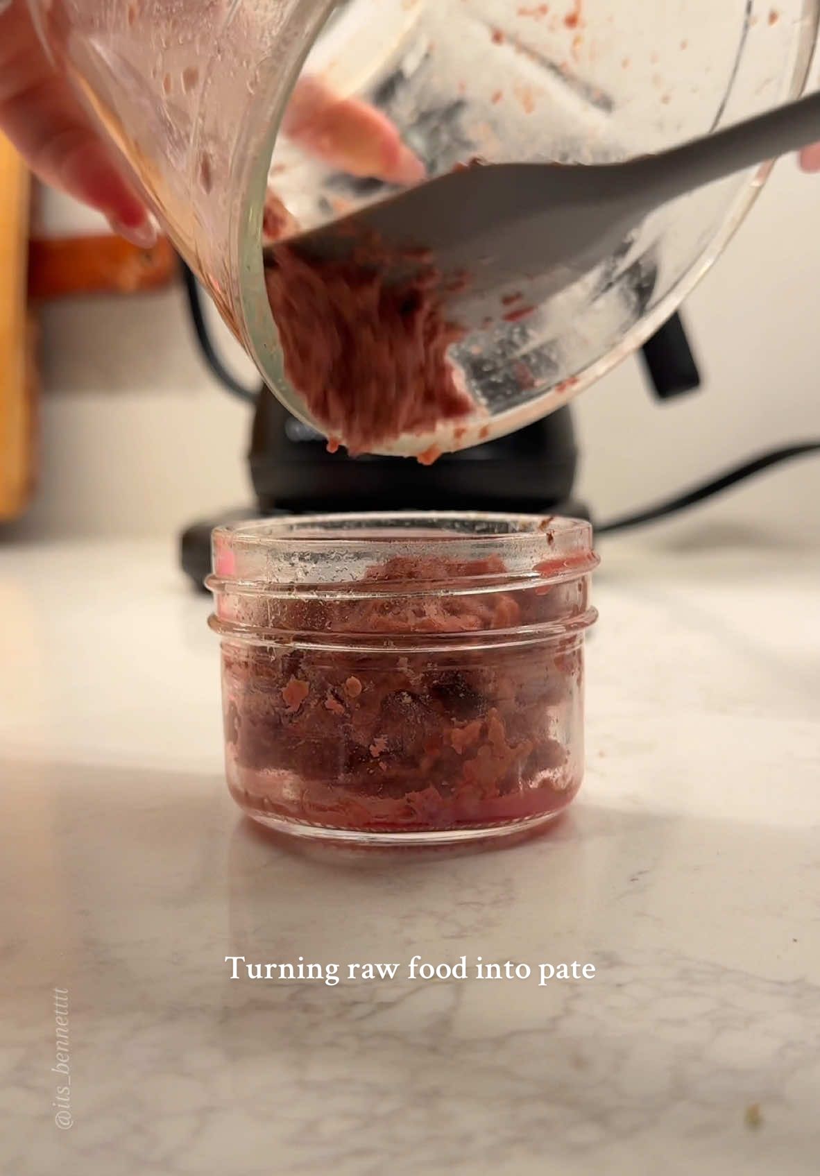 if texture is an issue when transitioning your cat from raw to cooked food, perhaps turning it into a pate will help! I’m trying this out on flavors he usually won’t touch (guinea fowl) or will puke upon eating raw (beef) | Turning my picky ragdoll cat’s raw food into pate  〰️ #Cats #CatMom #ragdoll #birdflu #cattips #ragdollcat #Catfeeding #CatFood #romanticizeyourlife #romanticizing #romanticizingmylife #warmvibes #cozyvibes #CatsofTiktok #CatLovers #CuteCats #PetFeeding #CatMeals  #DailyCat #CatCare #CatTok #CatLoversClub #whatifeedmycat #WhatMyCatEats #CatFeedingRoutine #asmr  #FeedingMyCat #wetfoodforcats #FelineNutrition #feline #catfoodrecipe #CatMom #catloversclub #BestFoodsForCats #RawFeedingCommunity #RawFedCat #CatContentCreator #Fyp#Explore #ForYouPage #CatFyp #spoiledcat #spoiledcats #catcare #catfood #catmomlife