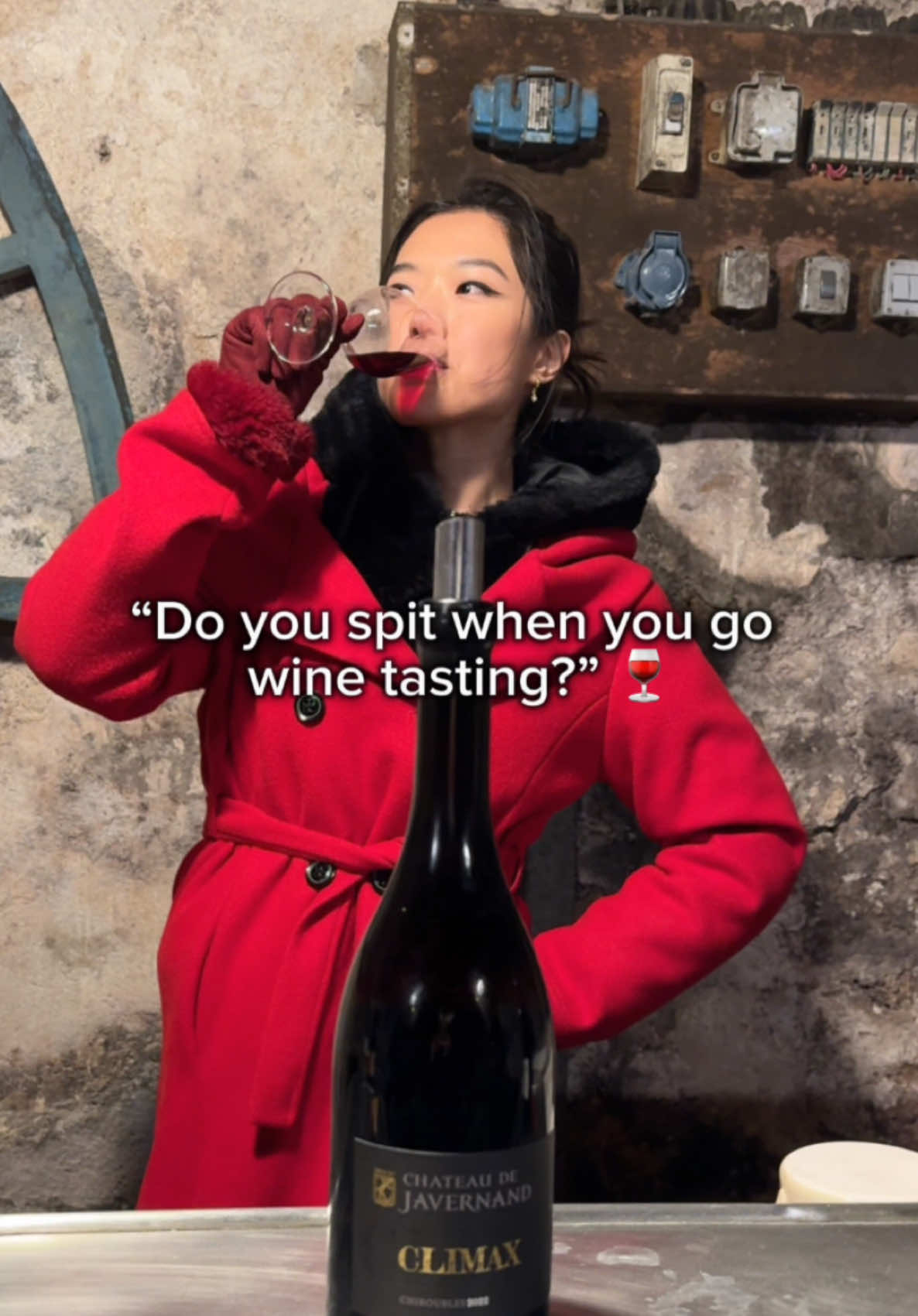 answering my most frequently asked question when I go wine tasting 🙂#wine #winetasting #winelover #winter #france #travel #fyp 