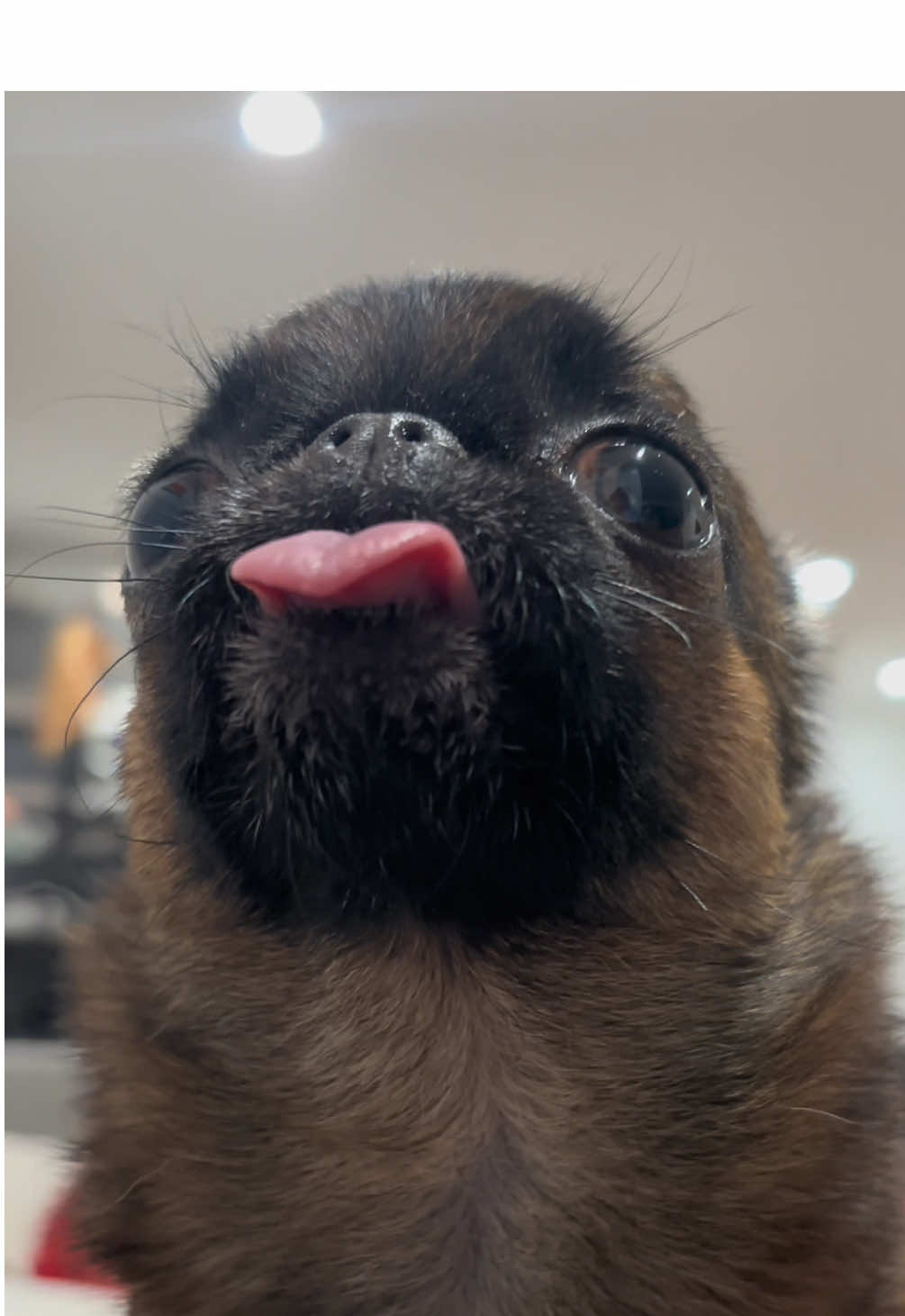 Be not afraid 😌 Important ASMR message followed by critical reporting from the blep.