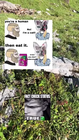 #thesunwillriseagain #wp 