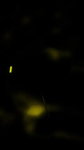 I found a love #edsheeran #speedup #speedupsongs #musicedits #edit #songs #lyricsedit #lyricsvideo #musicvibes #lyrics