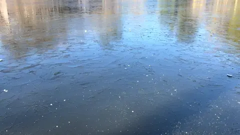 the lake froze a little bit so we had to 🤭 #lake #frozen #georgia #snowstorm #atl #ice 
