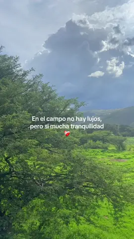 Nada mejor que el campo 🍃#cajamarca #cajabamba #zxycba #campo 
