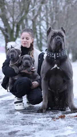 #канекорсобеларусь #canecorsoitaliano #foryou 