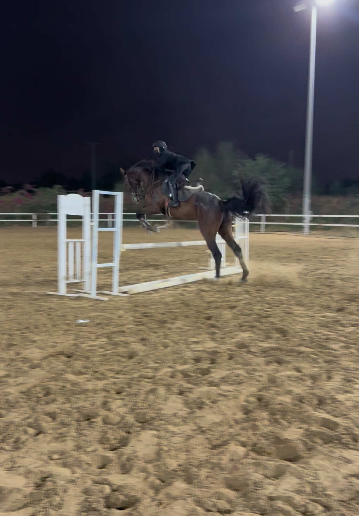 #fyp #explore #fypシ #خيل_وخياله🐎 #فروسية #السعوديه 