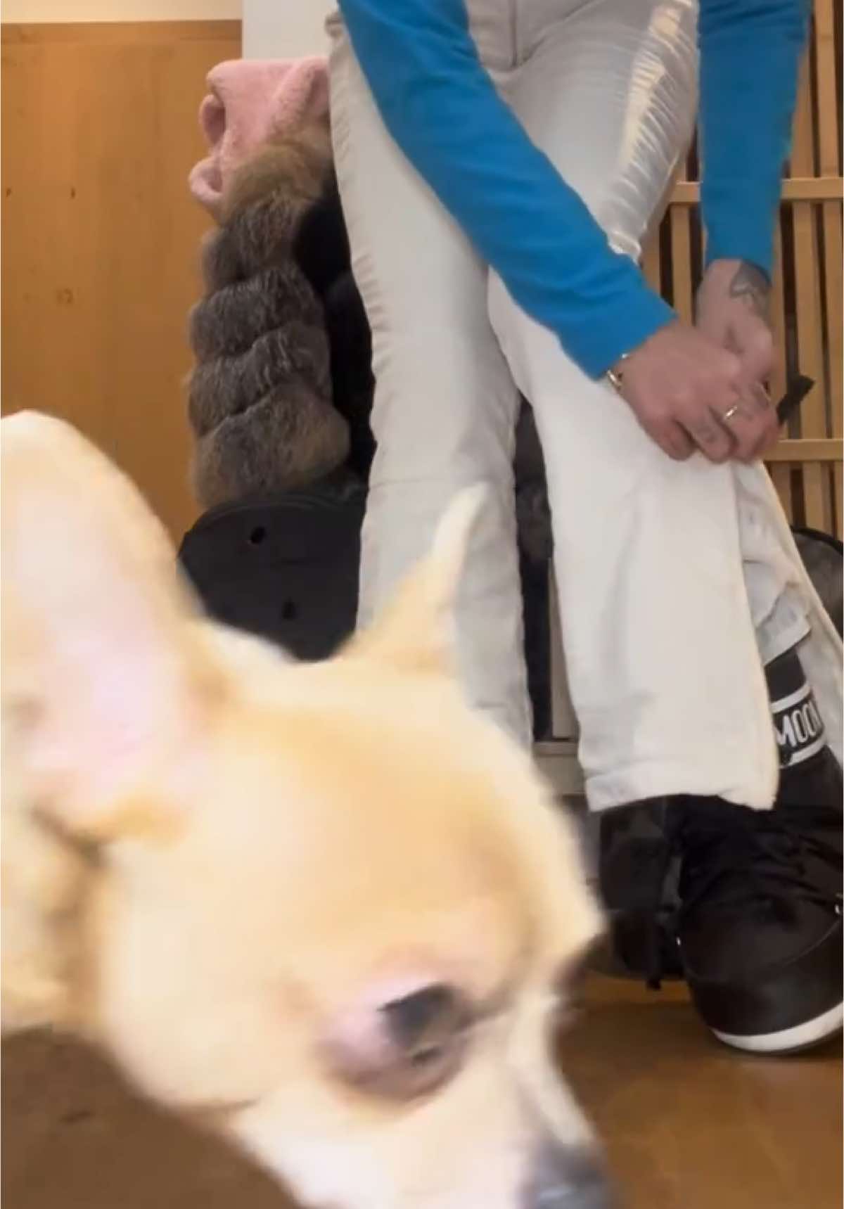 OTD🤍🧊❄️ #ski @Vivien Szalai 