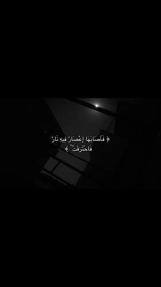 #عبدالرحمن_مسعد #quran #قران #قران_كريم 
