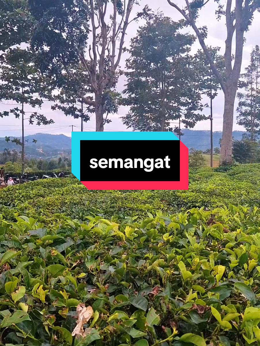 nanaonan cenah nya🤣🤣🤣#fypシ゚viral @ua KOBUL @dikisaputra636 