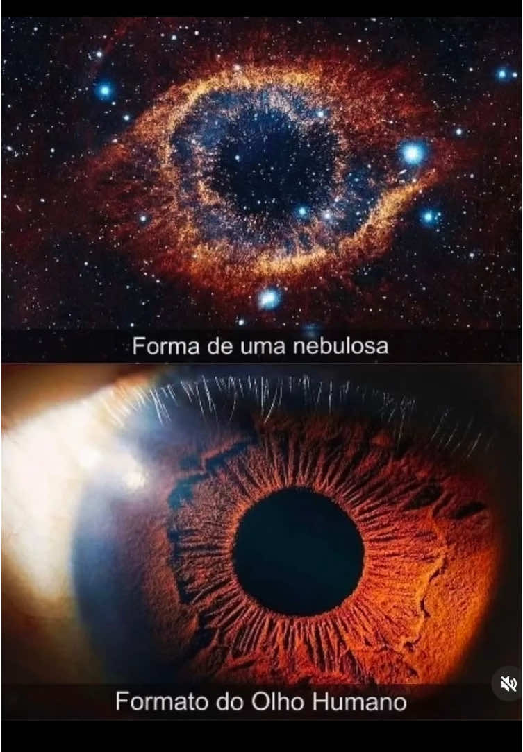 O Universo: Semelhanças Fascinantes com o Corpo Humano #Universo #Curiosidades #Espaço #Nebulosa #DNA #Galáxias #Cosmos #Ciência #Natureza #MistériosDoUniverso