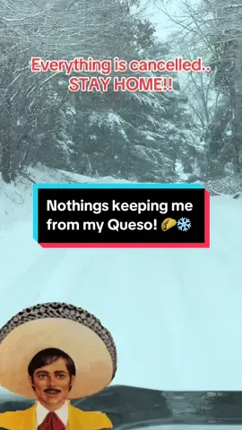 Queso is totally worth the risk! #mexicanfood #queso #snow #snowday #snowstorm #fyp 