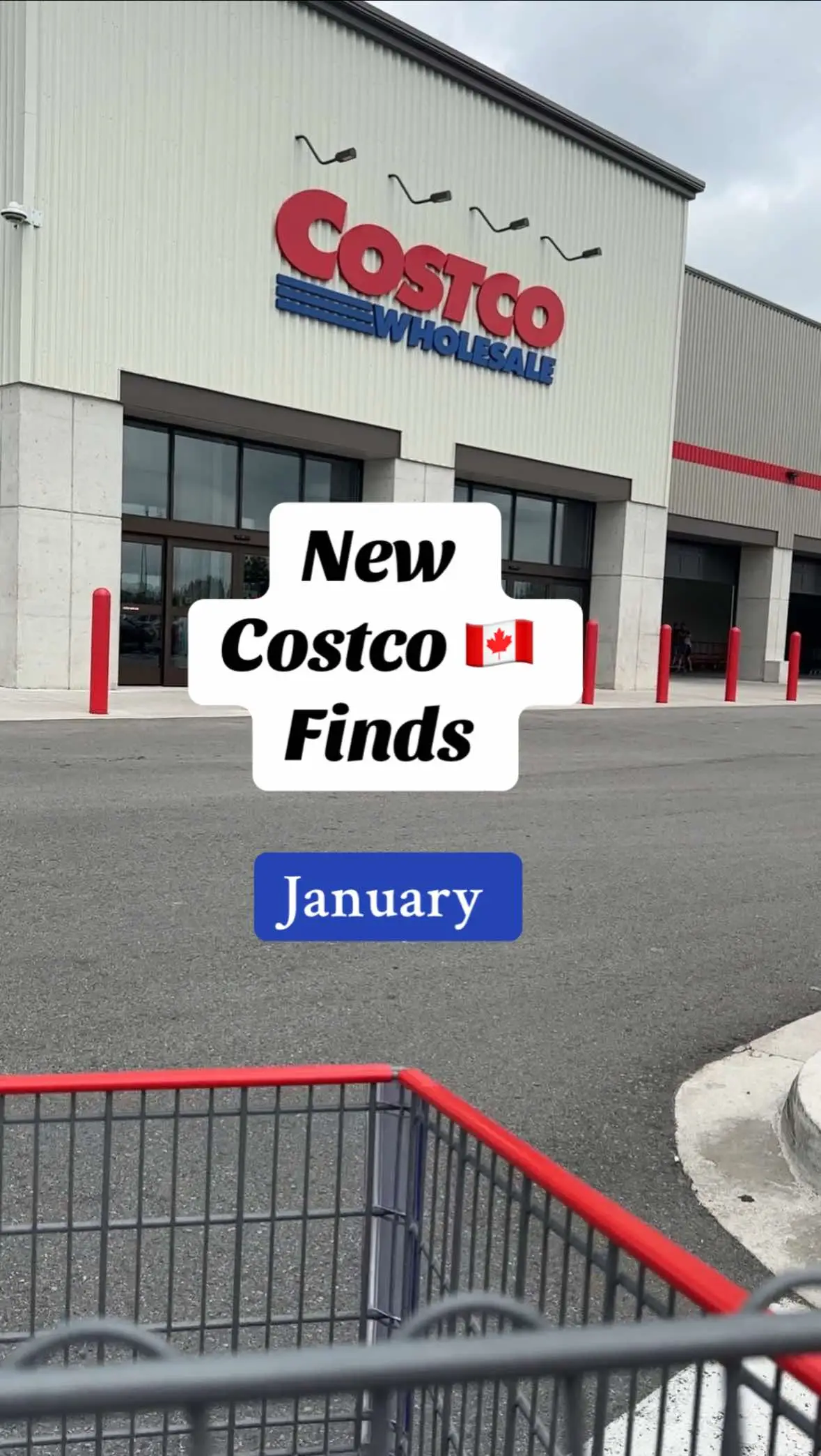 New finds this week at Costco. #costcocanada #costco #costcofindscanada #costcotiktok #costcodeals #costcomusthaves 