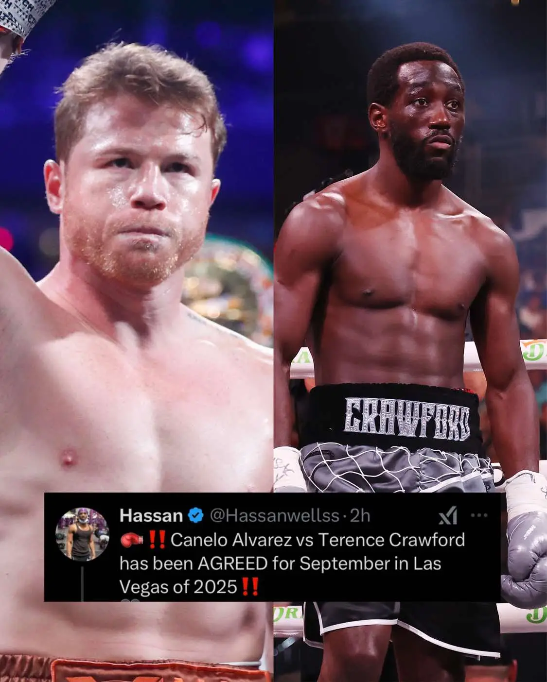 Who yall got? 👀 #canelo #terencecrawford #boxing 
