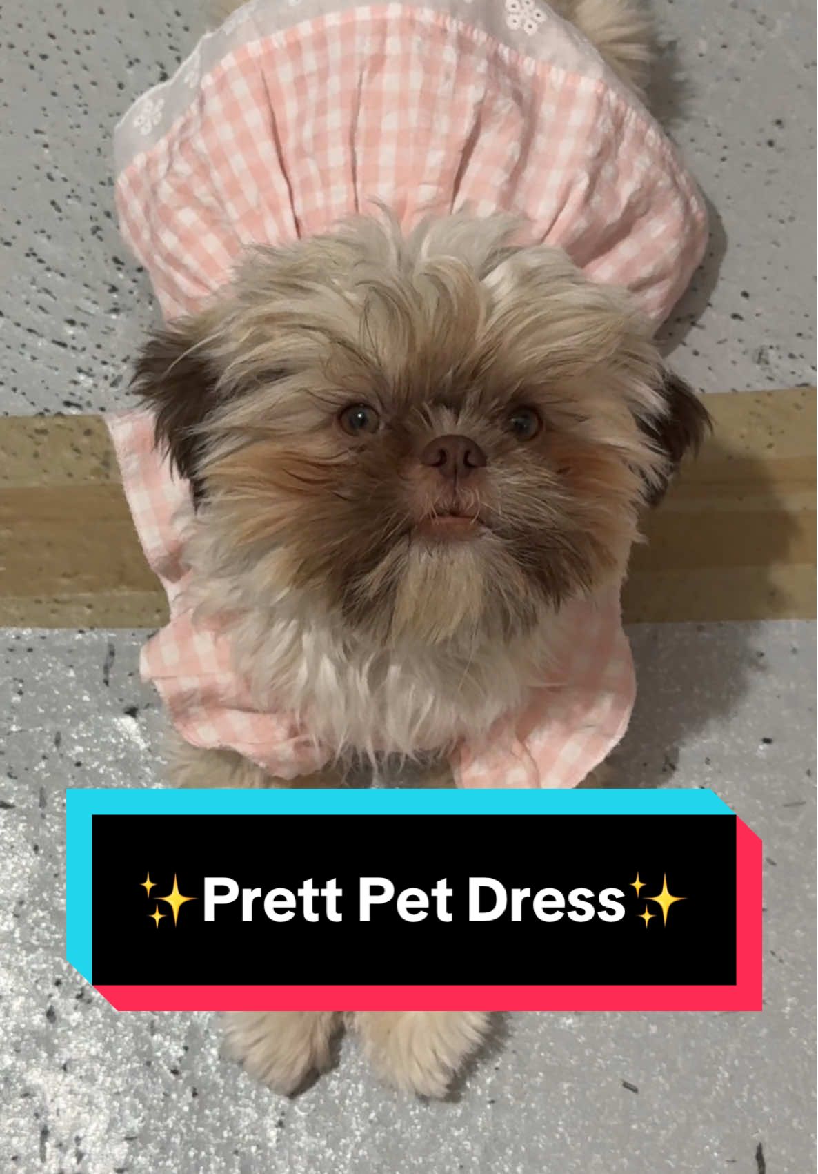 ✨Pretty Pet Dress✨#petclothes #dogclothes #petdress #dogdress #dogsoftiktok 