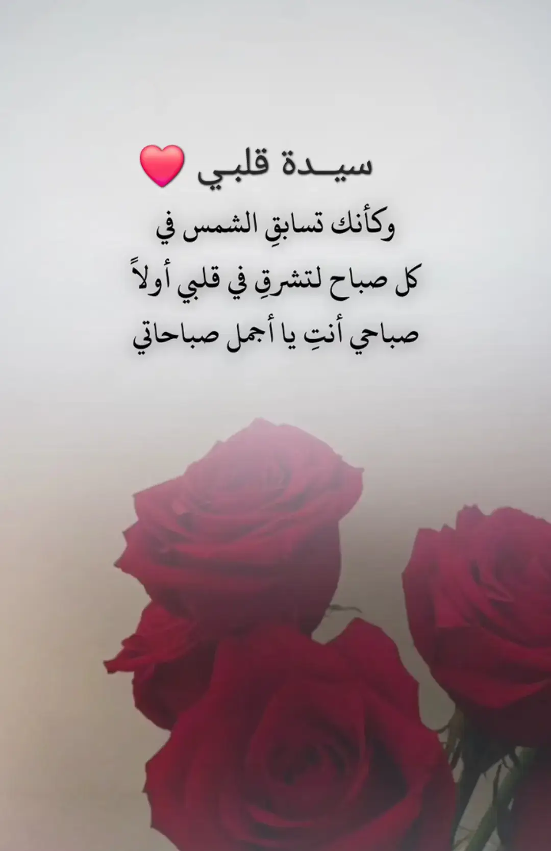 #حبيبتي_وروحي_احبك 