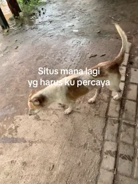 Info PG rungkadd😭#fypシ #storybanjar #fypシ゚viral 