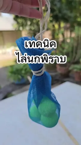 เทคนิคการไล่นกพิราบ #ไล่นกพิราบ #ก้อนไล่นกพิราบ #นกพิราบ #ของดีบอกต่อ #ใช้ดีบอกต่อ #ภัทรามาแชร์ 