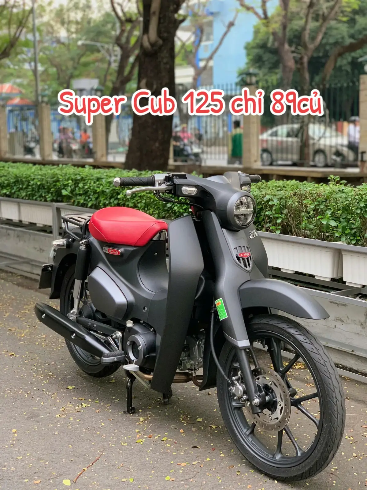 Super Cub 125 máy Thái 2019 custom đen nhám BSTP một chủ. Xe chuẩn zin lướt 1500km bao ko tua,máy cực chất 👍👍👍 Full 2 khóa,kính zin theo xe. #Cub125 #SuperCub125#hàkimhoàng #Cửahàng179 #supercub 