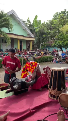 panggah wonge dewe🫣😂#tscreworiginal #jarananjember #jarananjemberselatan #ndadi #vypシ✌️❤️ #jaranantiktok #barongan #jarananjawatimur #jarananindonesia 