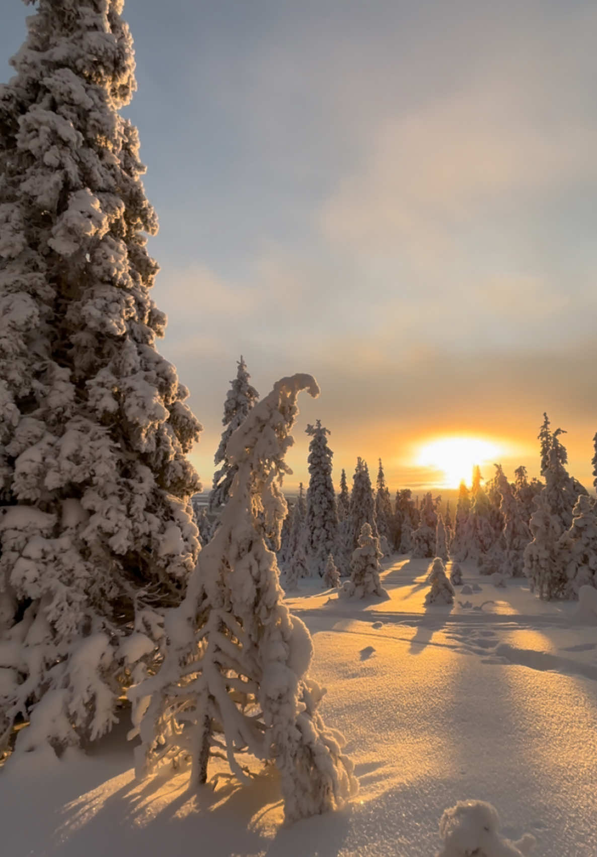 Lapland in winter >>> ❄️☃️🎅🏼  #fyp #riisitunturinationalpark #lapland #laplandfinland #riisituntunturi #finland #january 