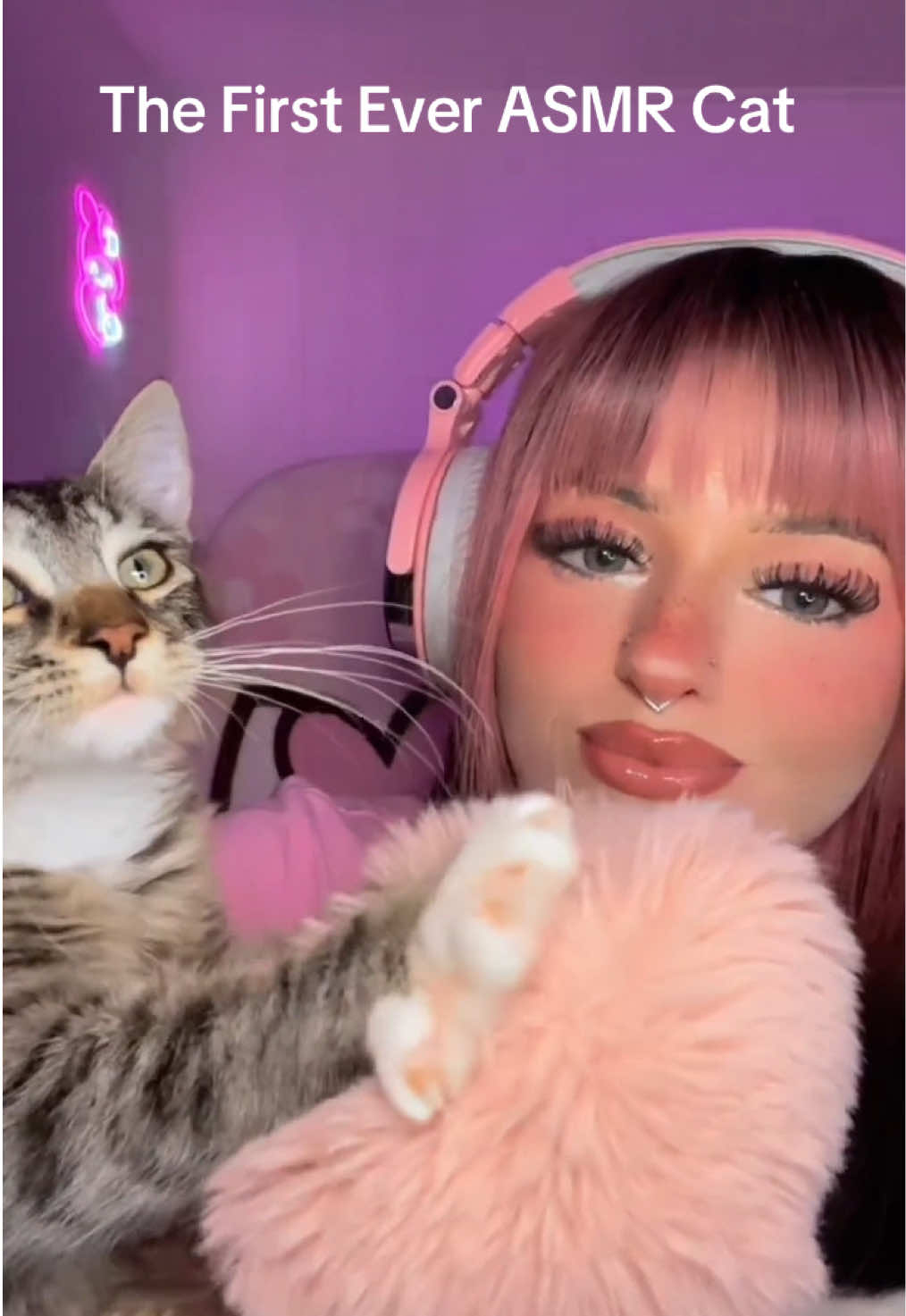 The Worlds First Ever Cat ASMRtist 😽✨ #pinkpixieasmr#pixieasmr#relaxingsounds#makingbuiscuits#kneadingasmr#kittyasmr#purringasmr#catasmr#fypシ 