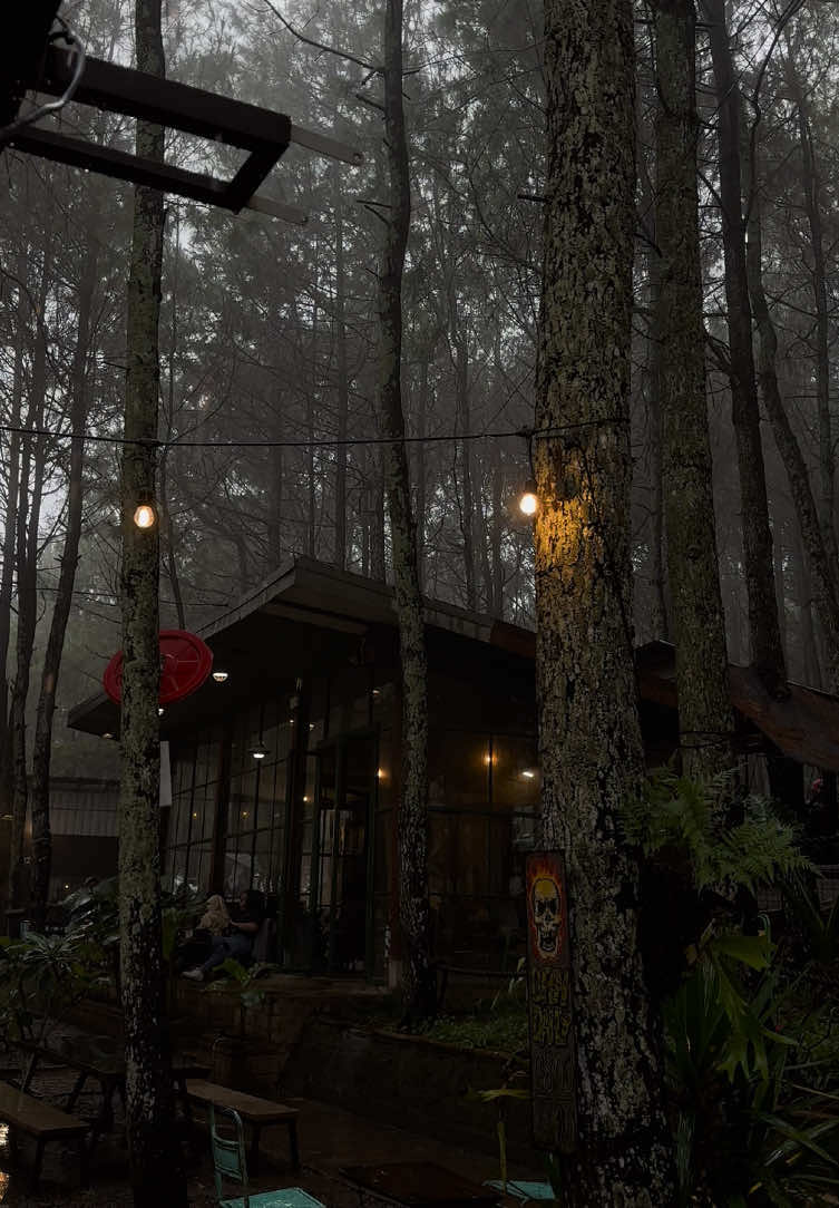 📍 AREA BARAT CAFE Jl . Area Coban Rais, oro oro ombo, Kec. Batu, Kota Batu   Drink : 8/10    |    Ambience : 10/10 #fyp #foryoupage #xbcyza #cafebatu #malanghits #Foodie #malangfoodies #batu #malangterkini  @Area Barat Cafe 