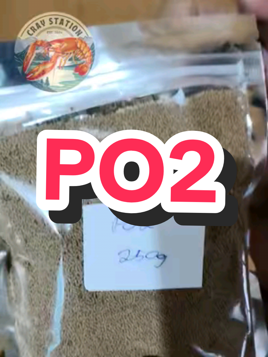 PO2 Fish Feeds para sa mga Crayfish  . . . #crayfish #business #lobster #pet #food #yabby #seafood #crayfishfarmingphilippines #redclawcrayfish #xiaolongxia #crawfish #crawfishboil #crayfishphilippines #crayfishthailand #crayfishcambodia #crayfishbreeder #crayfishindonesia #Aquaculture #SustainableFarming #RedclawCrayfish #CrayfishFarming #LocalFarm #OrganicFarming #FarmLife #FreshwaterFarming #ARCpilipinas