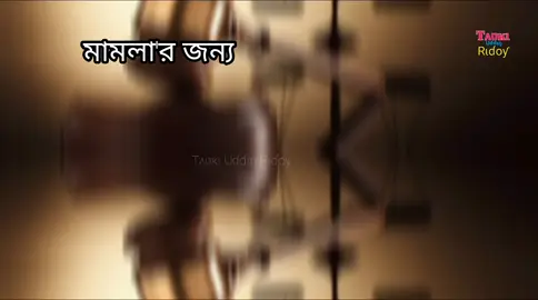 অসধ্য সাধন করলেন শেরে বাংলা  #vairal #reelsvideoシ #CapCut #vairal_video #vairal_video_tiktok 