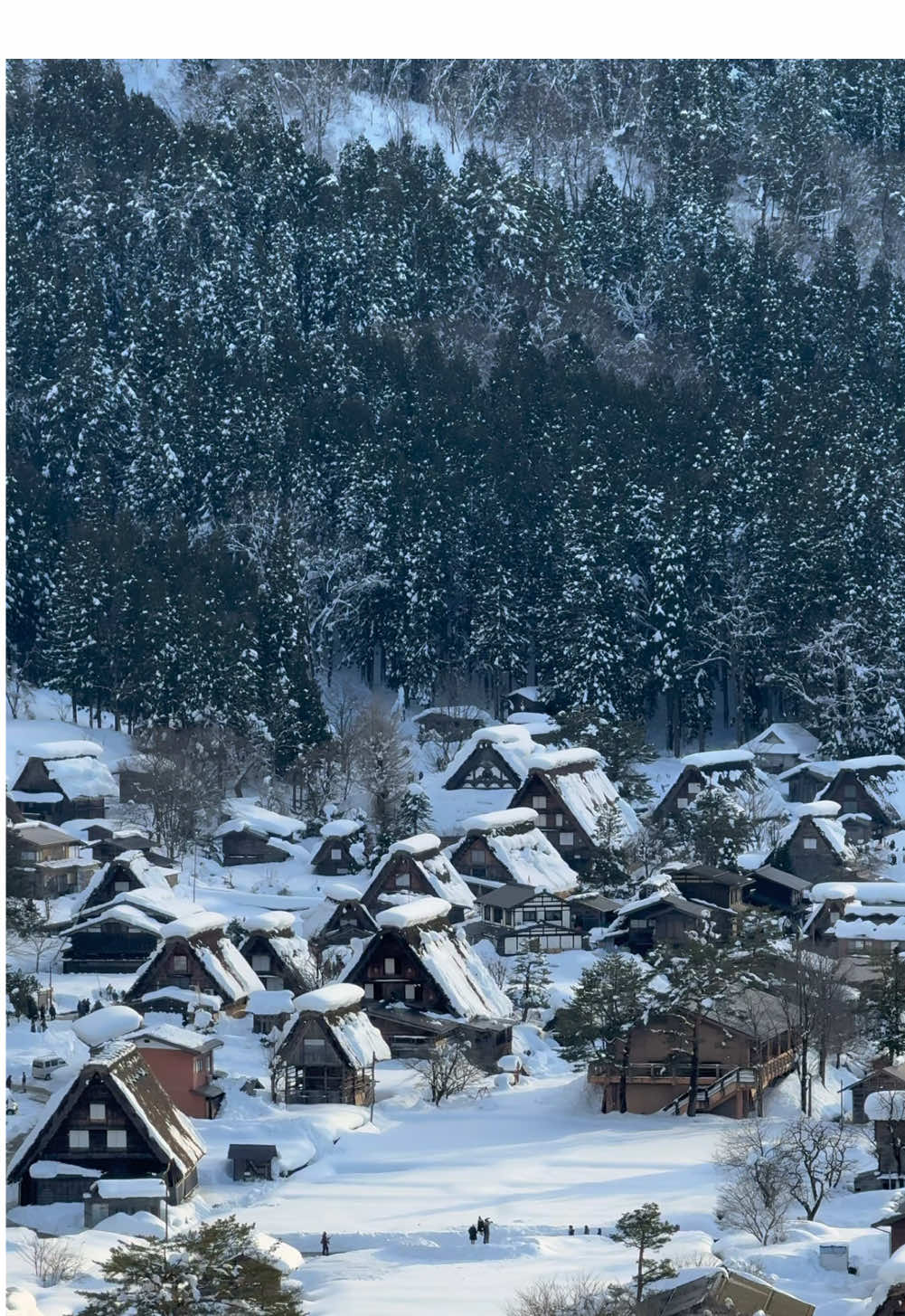 たまには冬景色も⛄️ 夕暮れの白川郷 #日本 #旅行 #tiktokで旅をしよう #絶景 #冬 #白川郷 #おすすめ  #japan #travel #traveltiktok #winter #shirakawago #fyp #foryou #mottytravel 