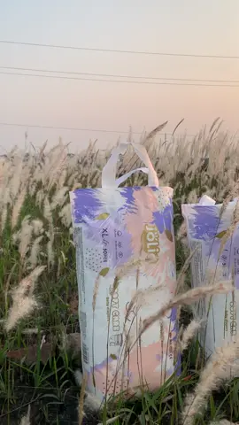 Em jolie bên đoá bông lau#xuhuongtiktok #mẹvàbé #béyêu 