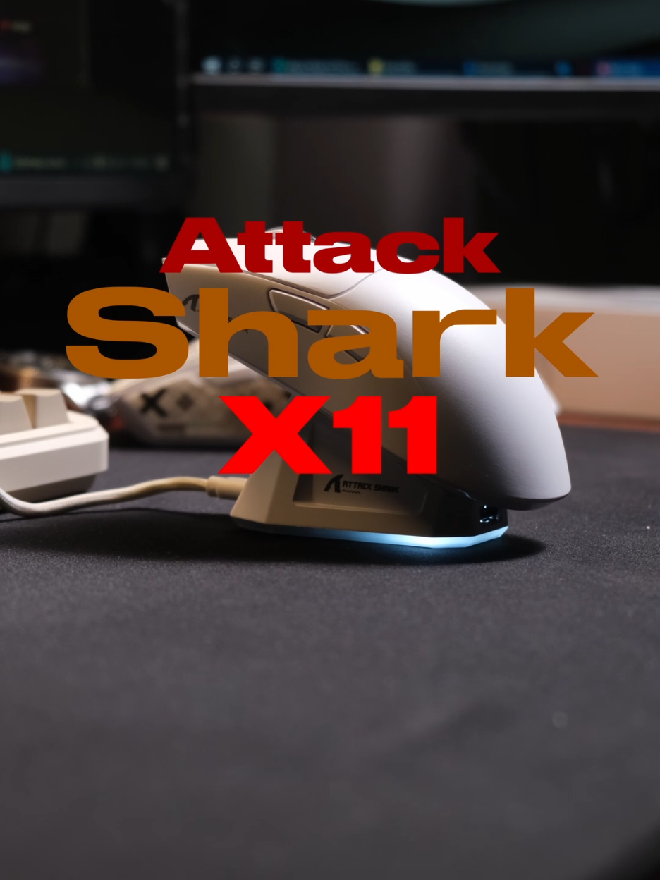 Attack Shark X11 Wireless Gaming Mouse! Budget gaming mouse with charging dock. PAW3311 #wirelessmouse #gamingmouse #Valorant #gaming #attackshark 