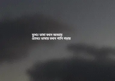 মুখের ভাষা যখন অসহায়  চোখের ভাষায় তখন পানি গড়ায় #fyp #foryou #foryoupage #viral #viralvideo #trending #trendingvideo #tiktok #tiktokindia #tiktokbangladesh 
