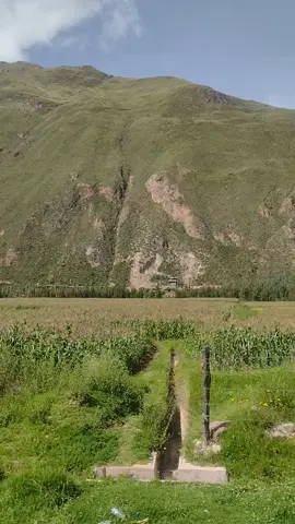 Mi último día - Tercer cielo Como si fuera mi último día Voy a luchar por mis sueños Viviendo sin miedo y cada minuto Vivirlo intenso #paisajeshermososconmúsica #paisajesnaturalesconmúsica #paisajeaesthetic #tavi_sptia #carretera #letrasdecanciones #lyrics #miultimodia #tendencia 