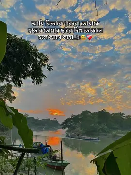 আমি কিভাবে থাকবো তোমাকে ছাড়াব তোমার ছবির দিখে তাকালে চলে আসে কান্না#foryoupage #tiktokindia #tiktok #foryou #foryyyyyyyyyyy 